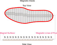 Magnetic Lines of Flux